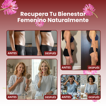 ZEREAN BALANCE™ | Synbiotic Formula + Functional Mushrooms 3-in-1 for Hormonal Balance and Menopause