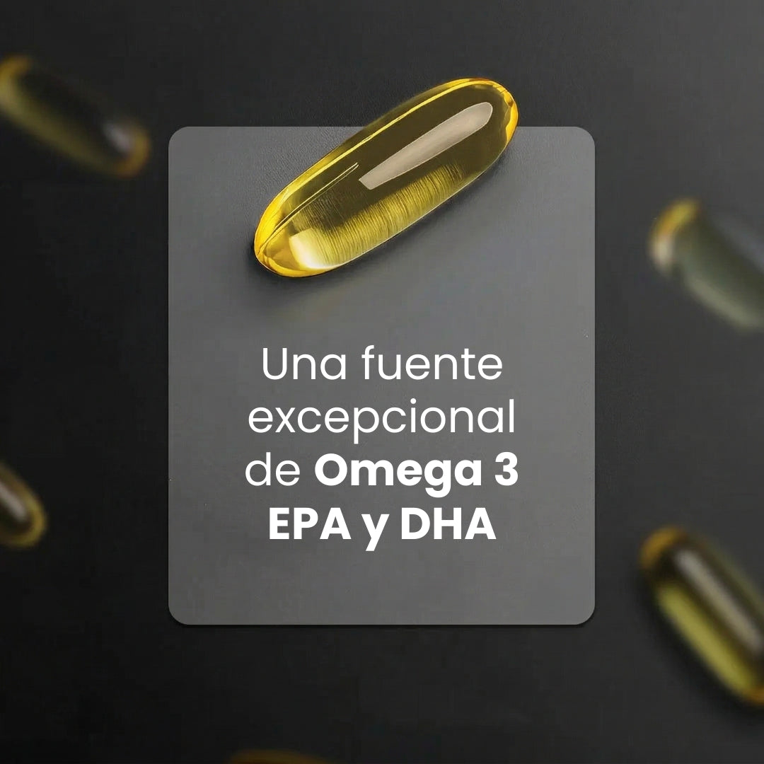 B Life Omega 3 Pure Salmon Oil | 90 Capsules | Maximum EPA and DHA Concentration | Omega 3 Salmon Oil.