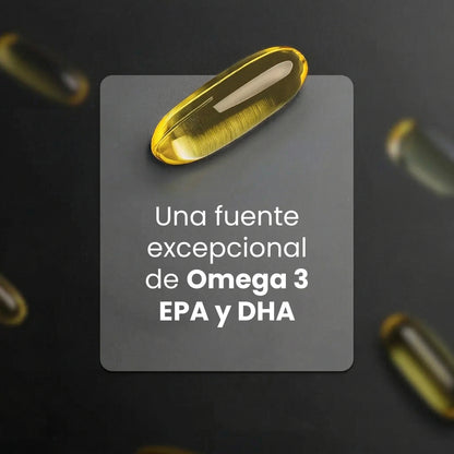 B Life Omega 3 Pure Salmon Oil | 90 Capsules | Maximum EPA and DHA Concentration | Omega 3 Salmon Oil.