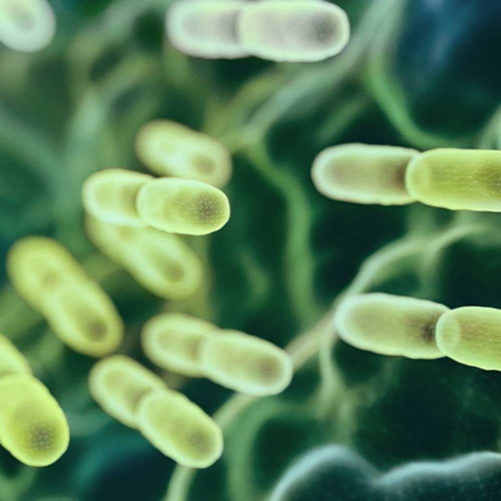<h5>The Science Behind Your Intimate Wellness</h5>